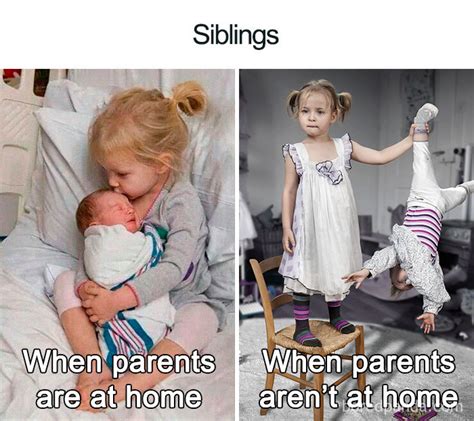 Sibling Memes .